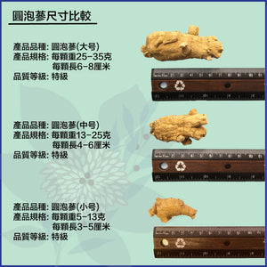 四年-花旗參特級(參皇)圓泡參禮盒(中號) - 227克